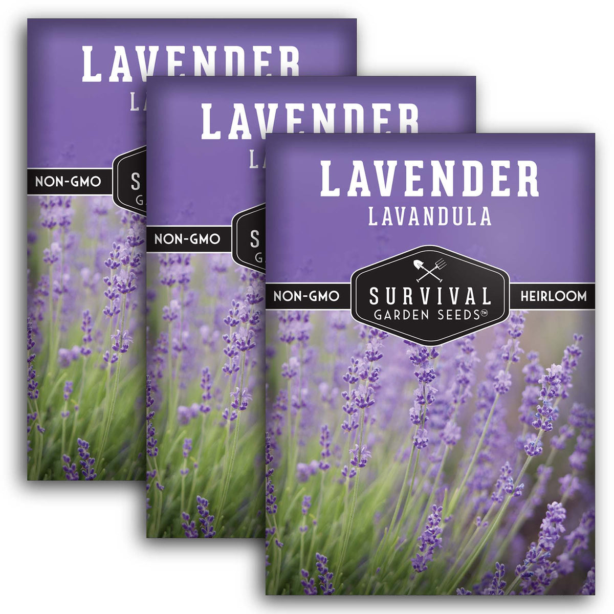 Lavender seed packets quantity 3