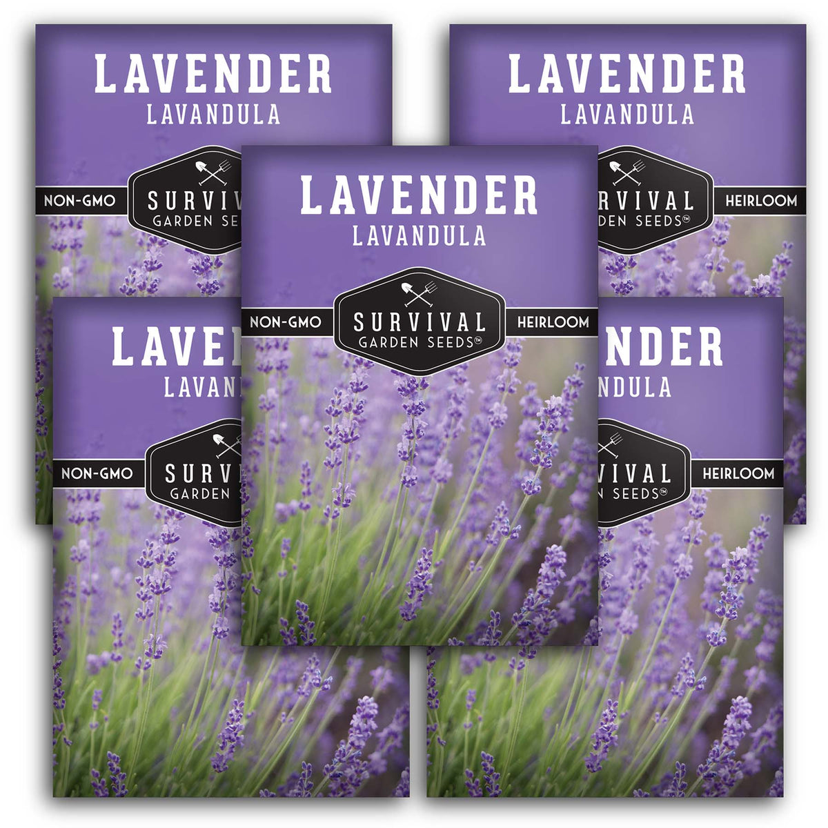 Lavender seed packets quantity 5