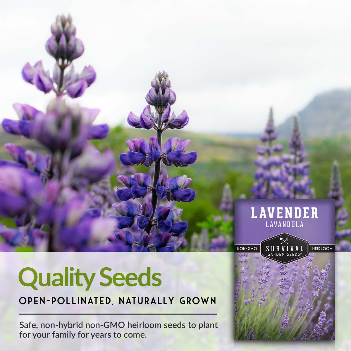 survival garden seeds are high quality