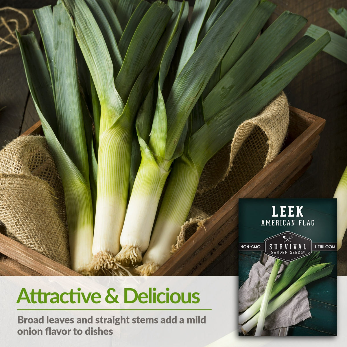 American Flag Leeks have broad leaves and straight stems that give a mild onion flavor
