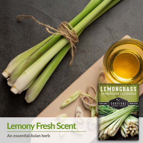 Lemongrass is an essential Asian herb