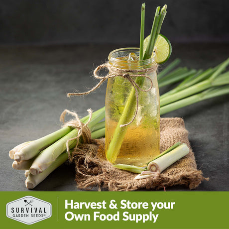 Harvest and store your own food supply