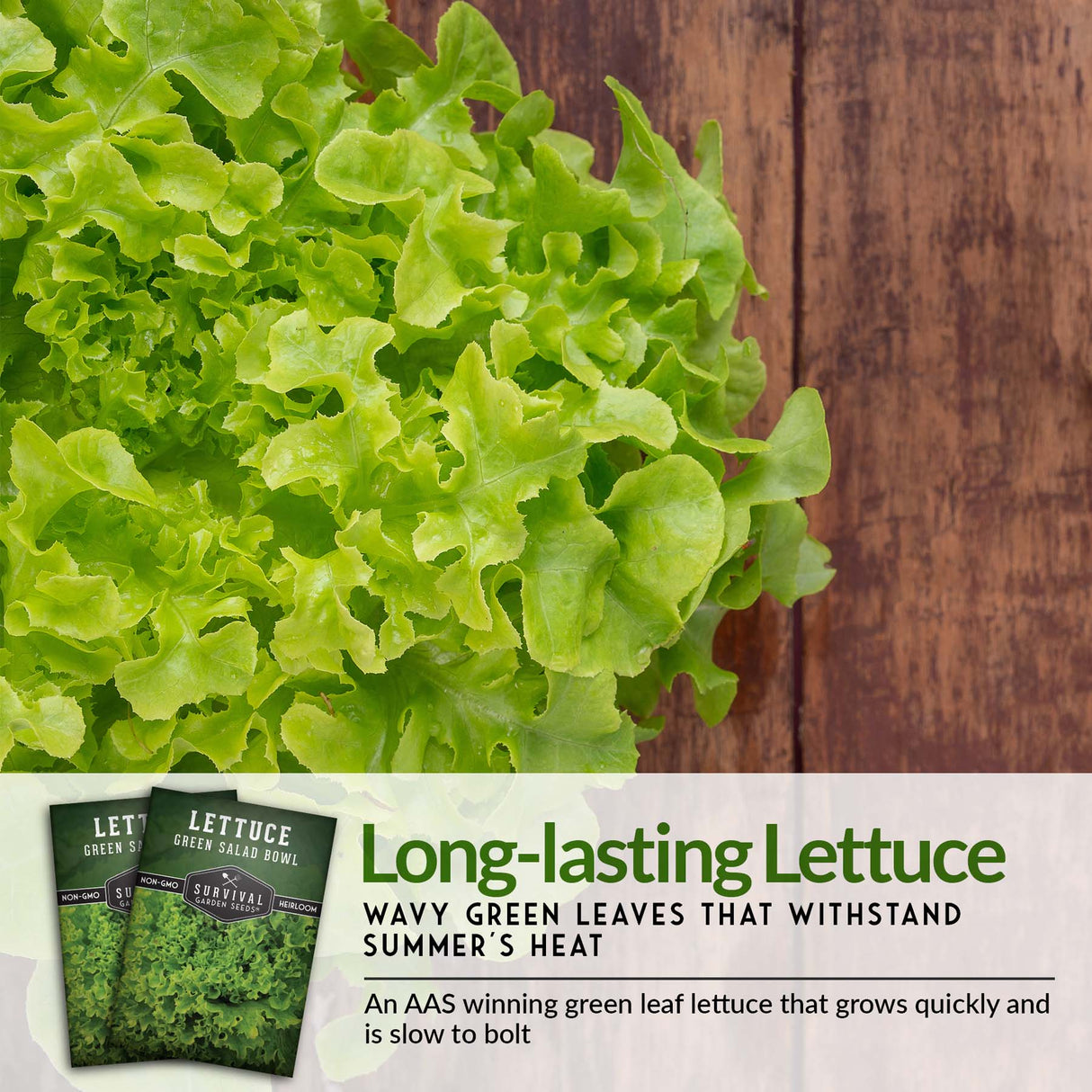 Long Lasting Lettuce
