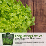 Green Salad Bowl Lettuce Seed