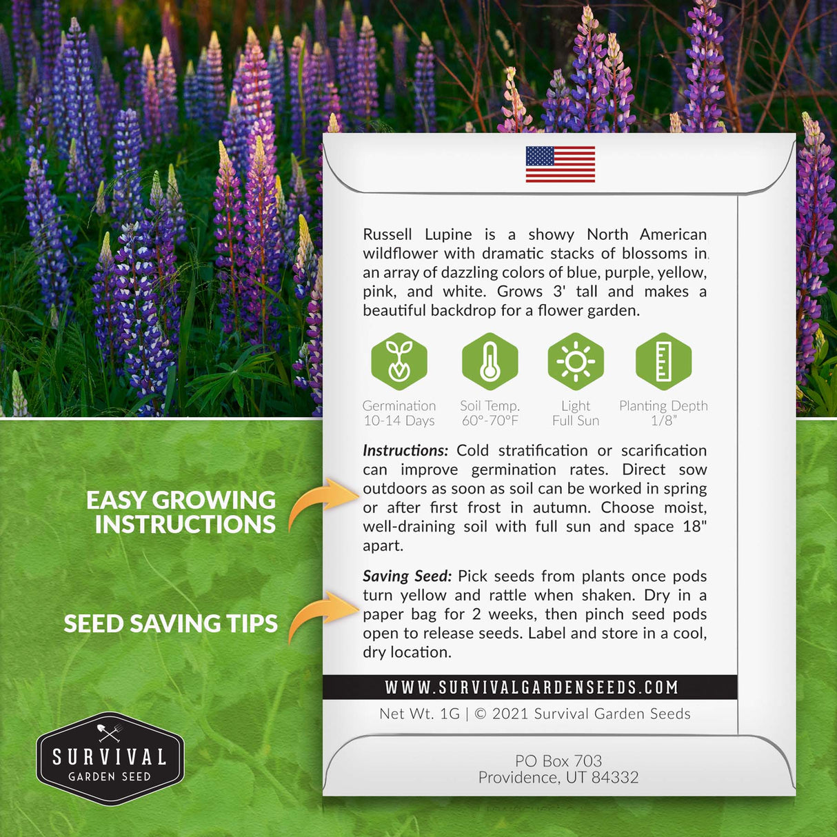 Russel Lupine seed planting instructions