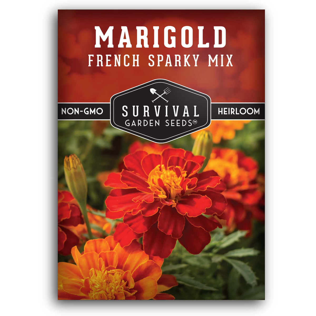French Sparky Mix Marigold seeds for planting