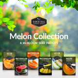 Melon Seed Collection - 6 Heirloom Melon Varieties