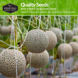 Quality non-hybrid heirloom melon seeds