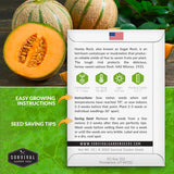 Honey Rock Melon planting instructions