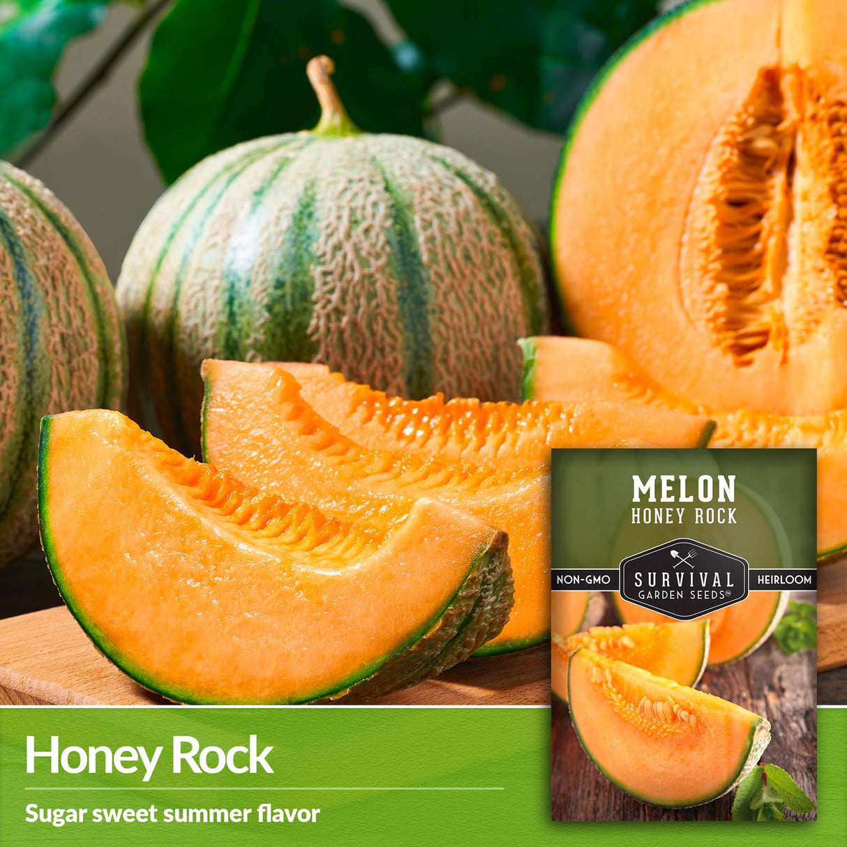Honey Rock Melon has a sugar sweet summer flavor