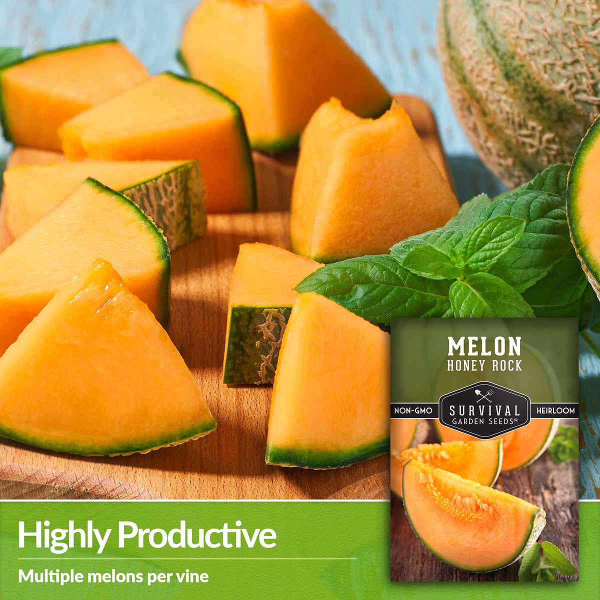 Honey Rock Melons produce multiple melons per vine