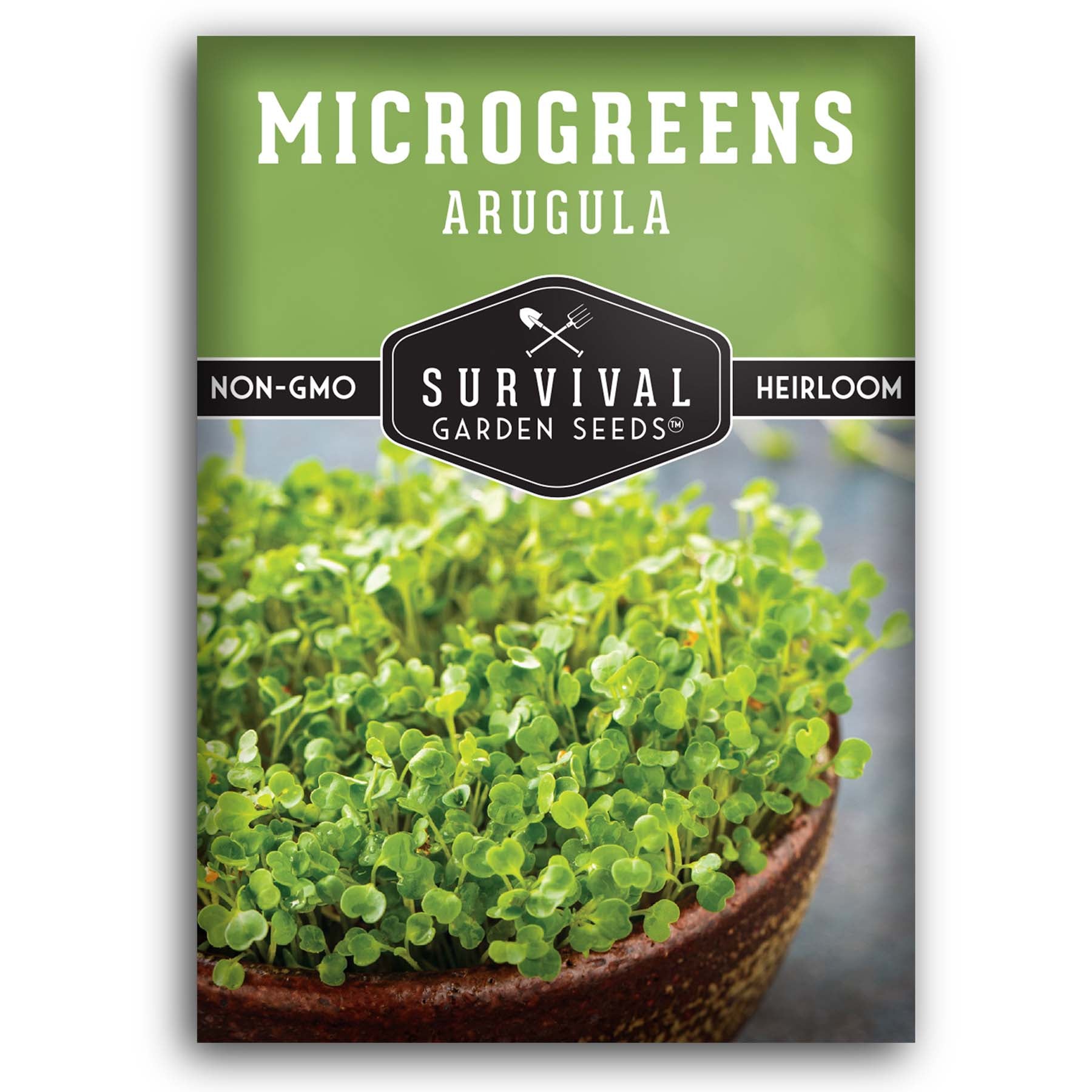 Arugula microgreens seeds for sprouting