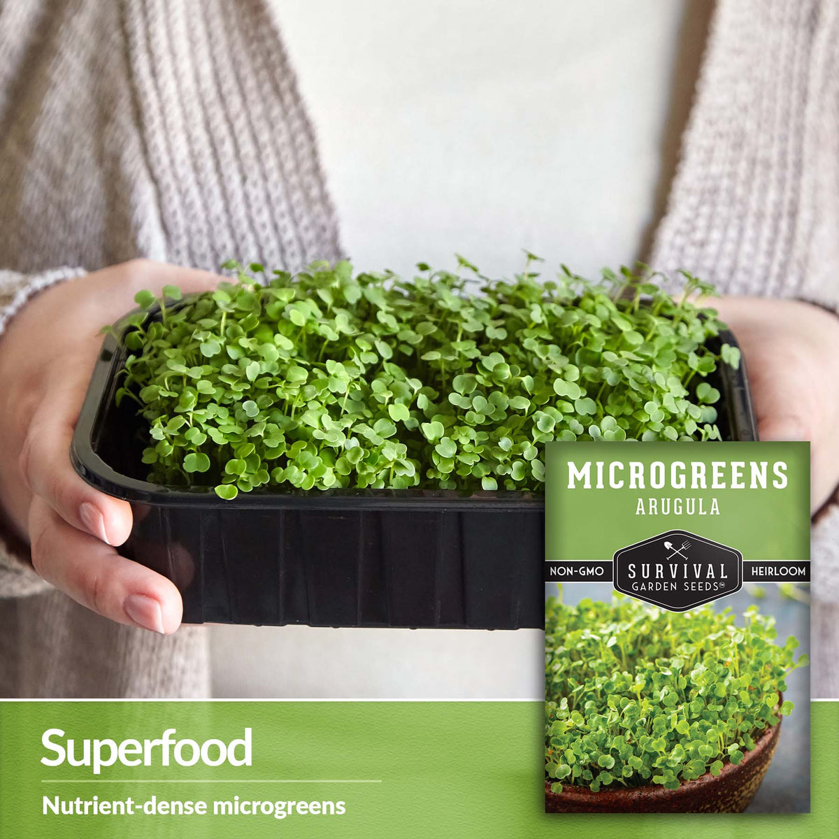 Microgreens are a nutrient dense superfood