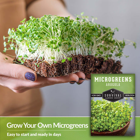 Grow your own microgreens