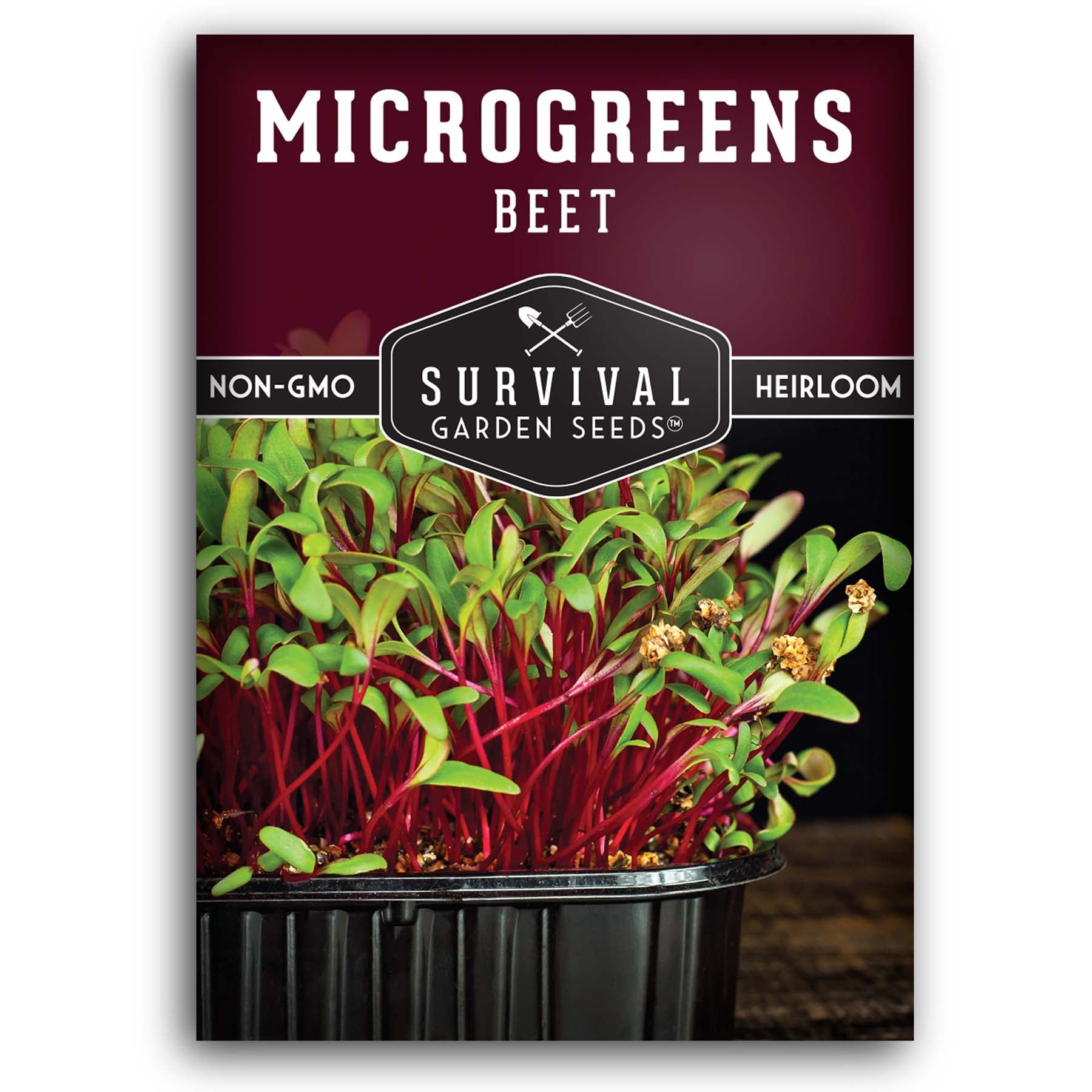 Beet Microgreens seeds for sprouting