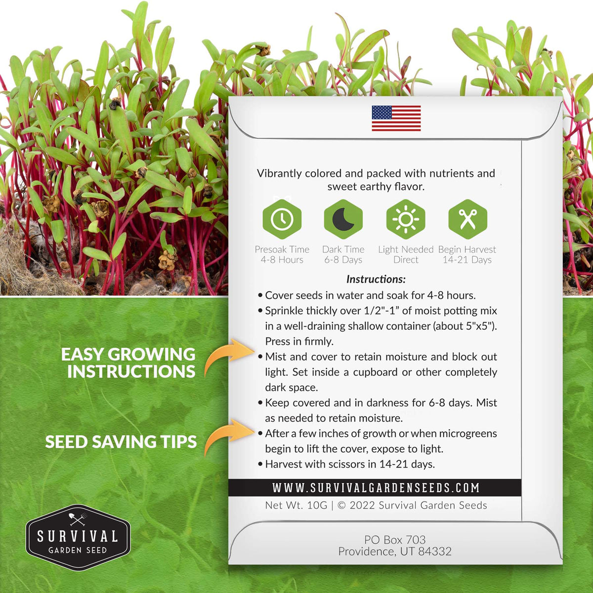 Beet microgreens seed growing instructions