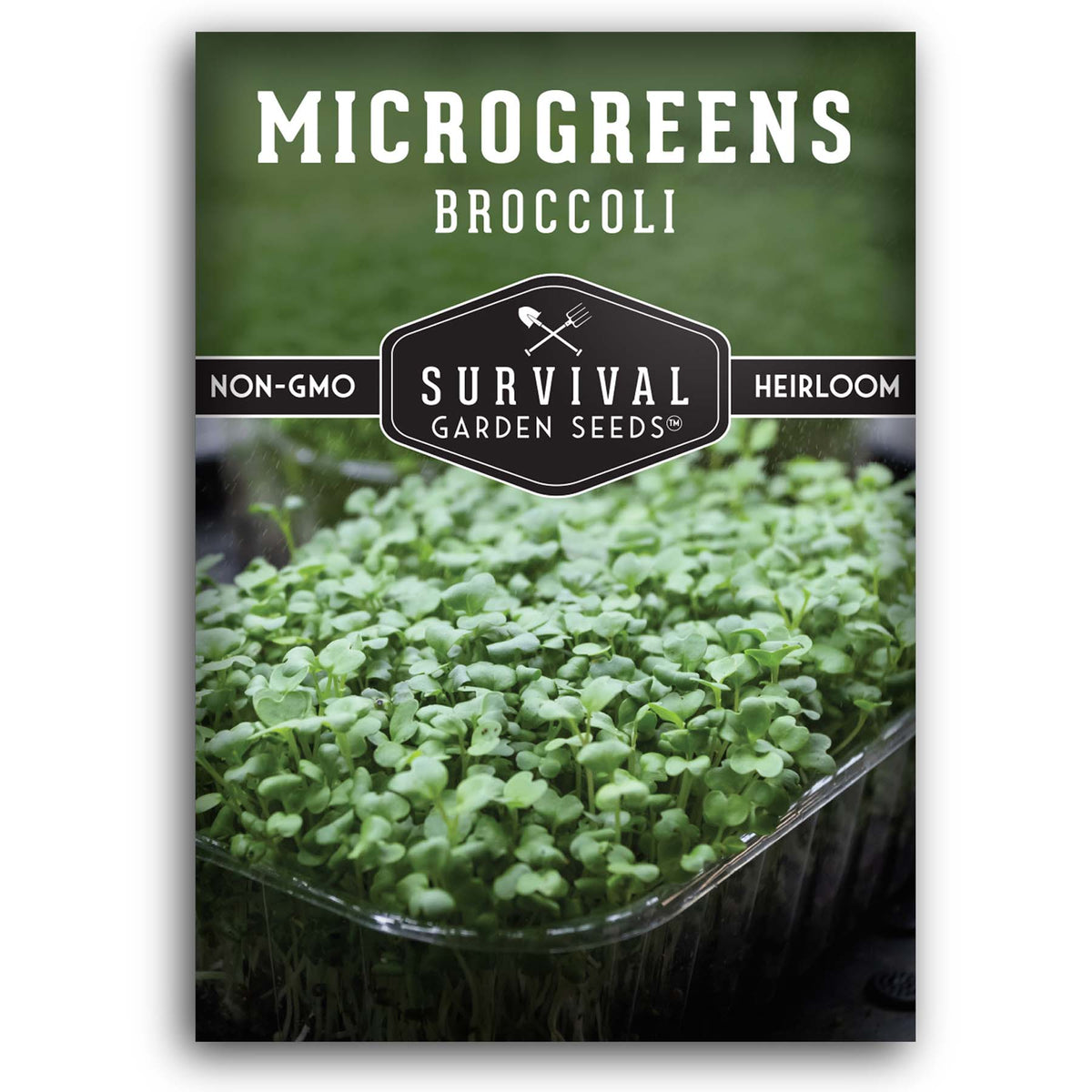 Broccoli Microgreens seeds for sprouting