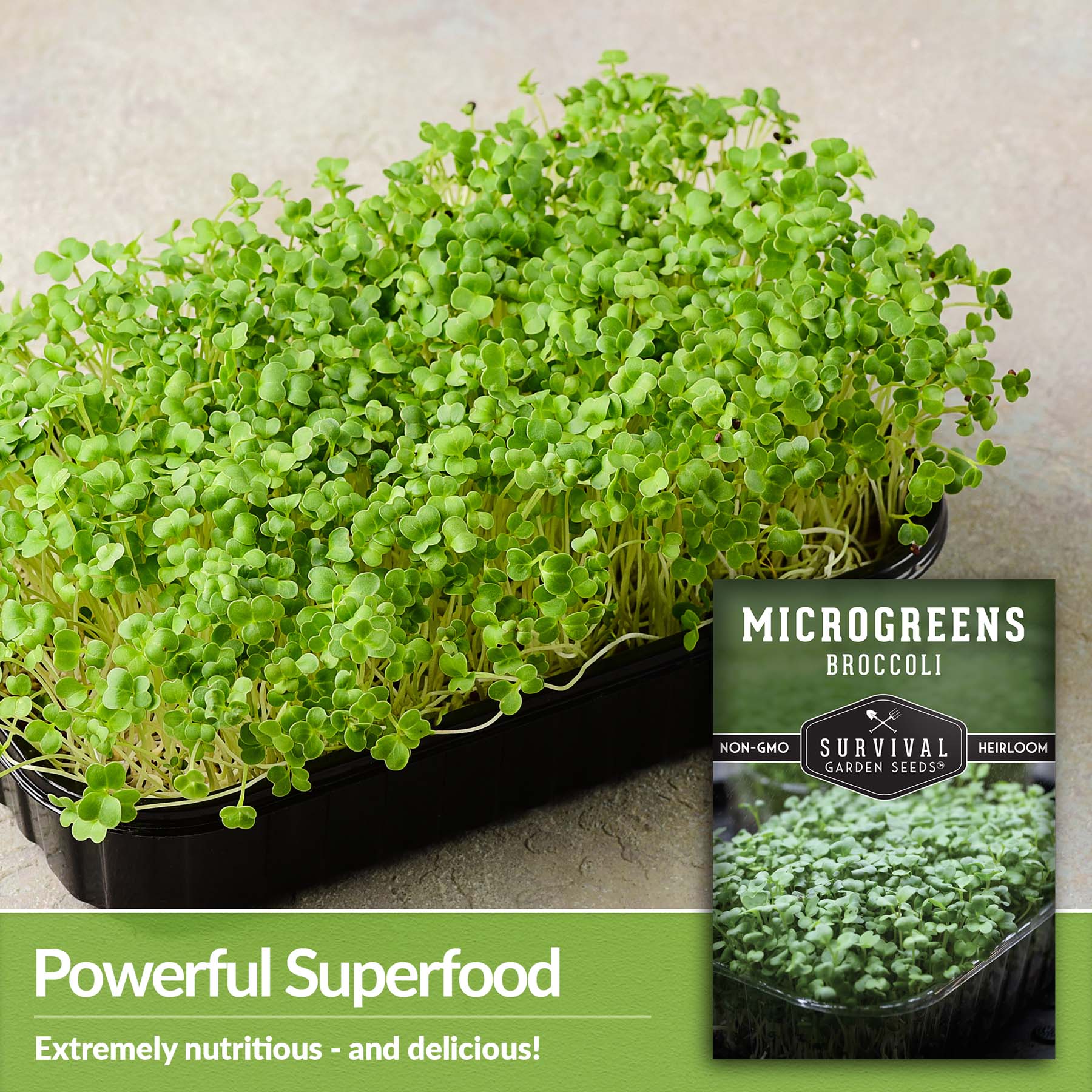 18+ Microgreen Broccoli Seeds 18+ Microgreen Broccoli Seeds