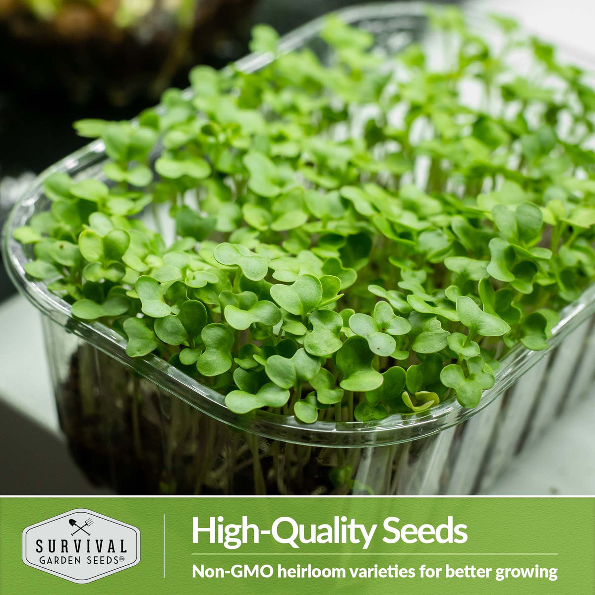 high quality non-GMO heirloom seeds