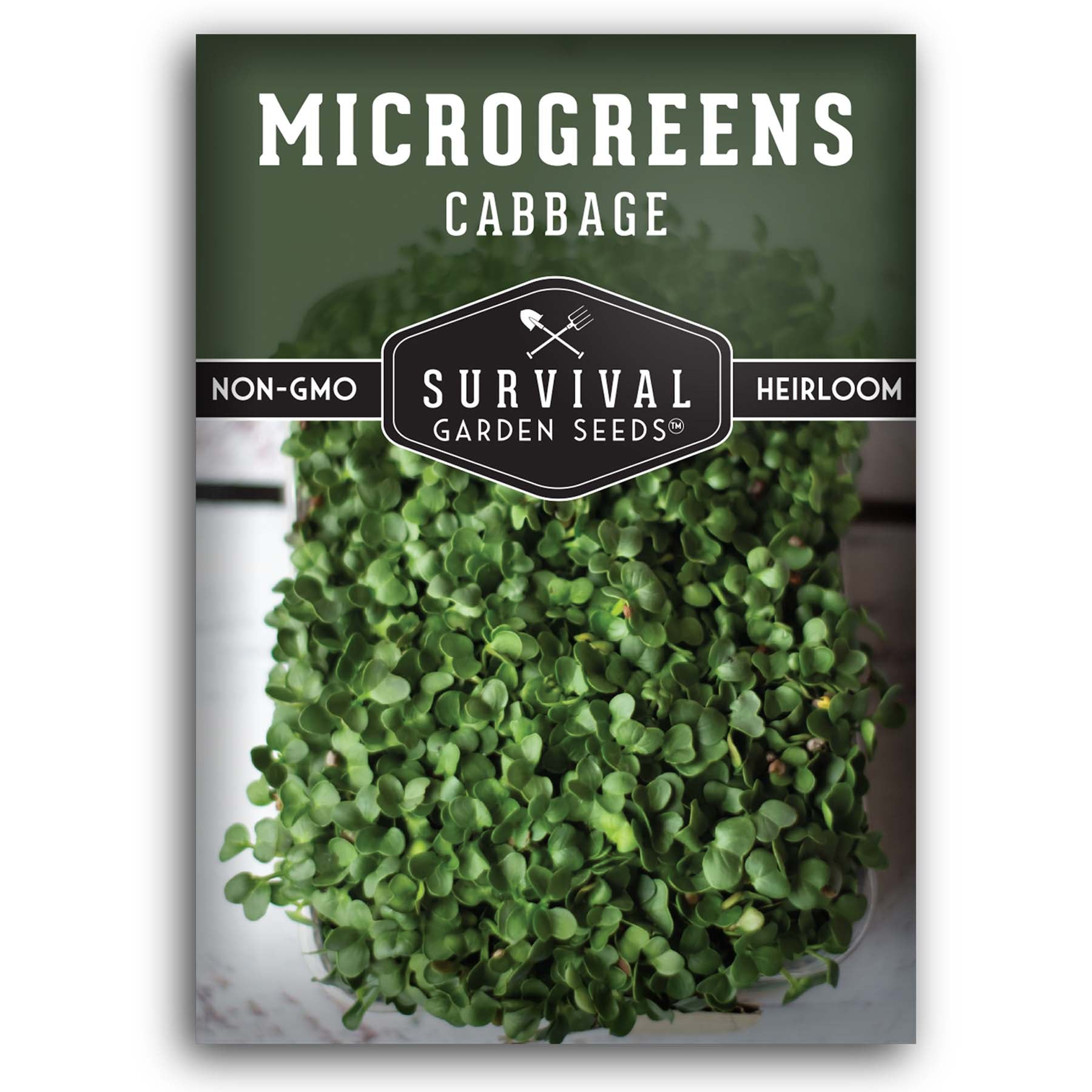Cabbage microgreen seeds for sprouting