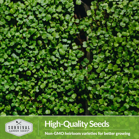 Non-GMO heirloom microgreen seeds