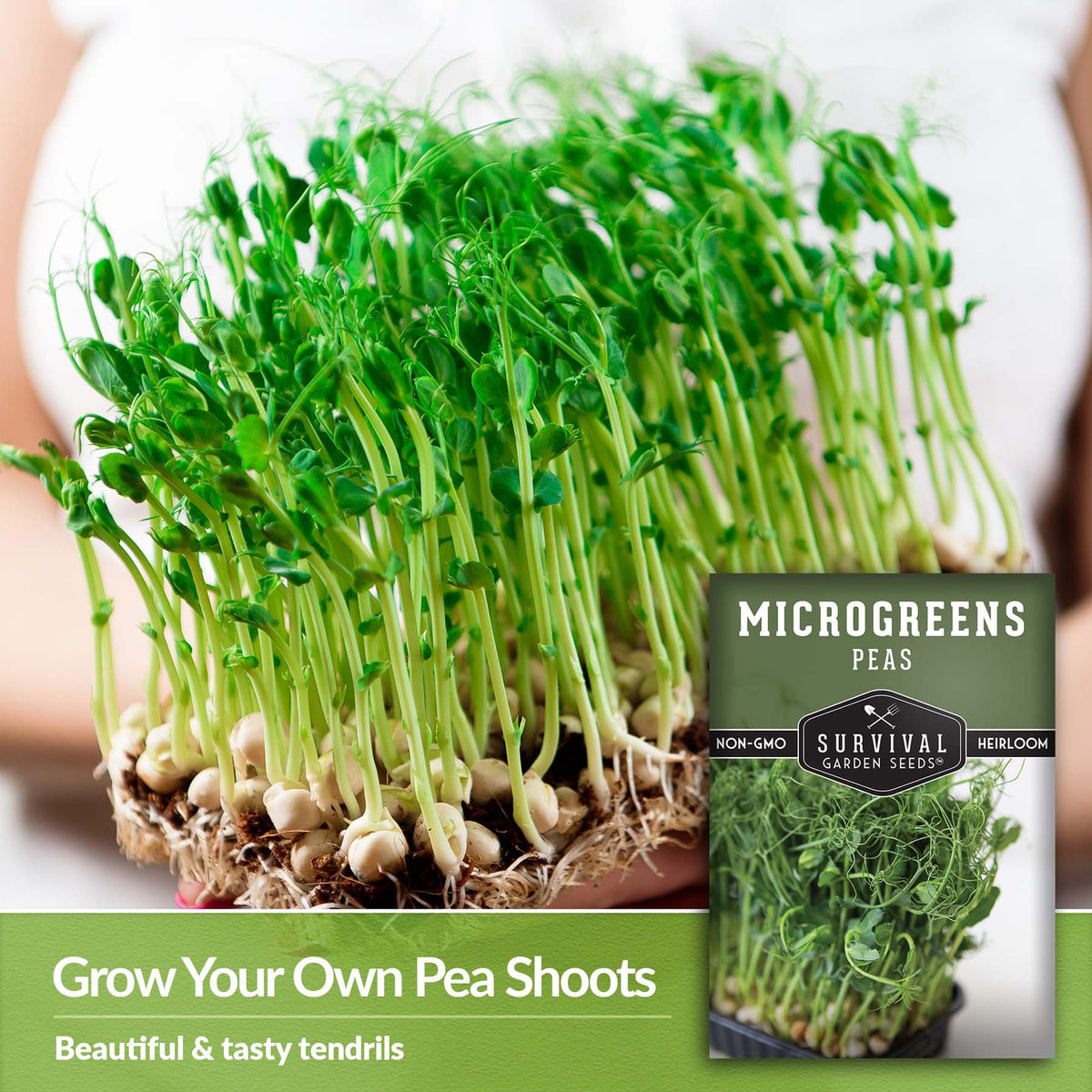 Grow your own pea shoots for beautiful and tasty tendrils