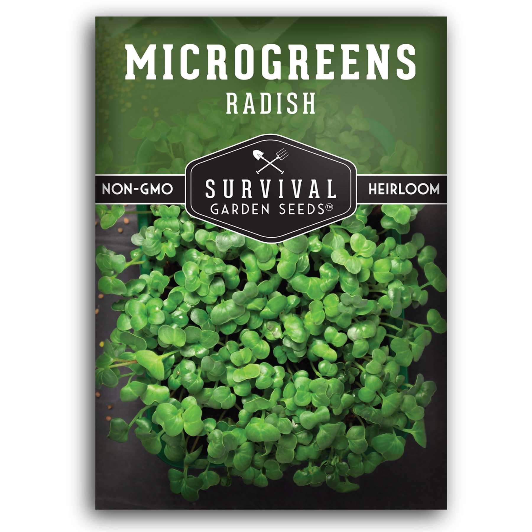 Radish Microgreens seeds for sprouting