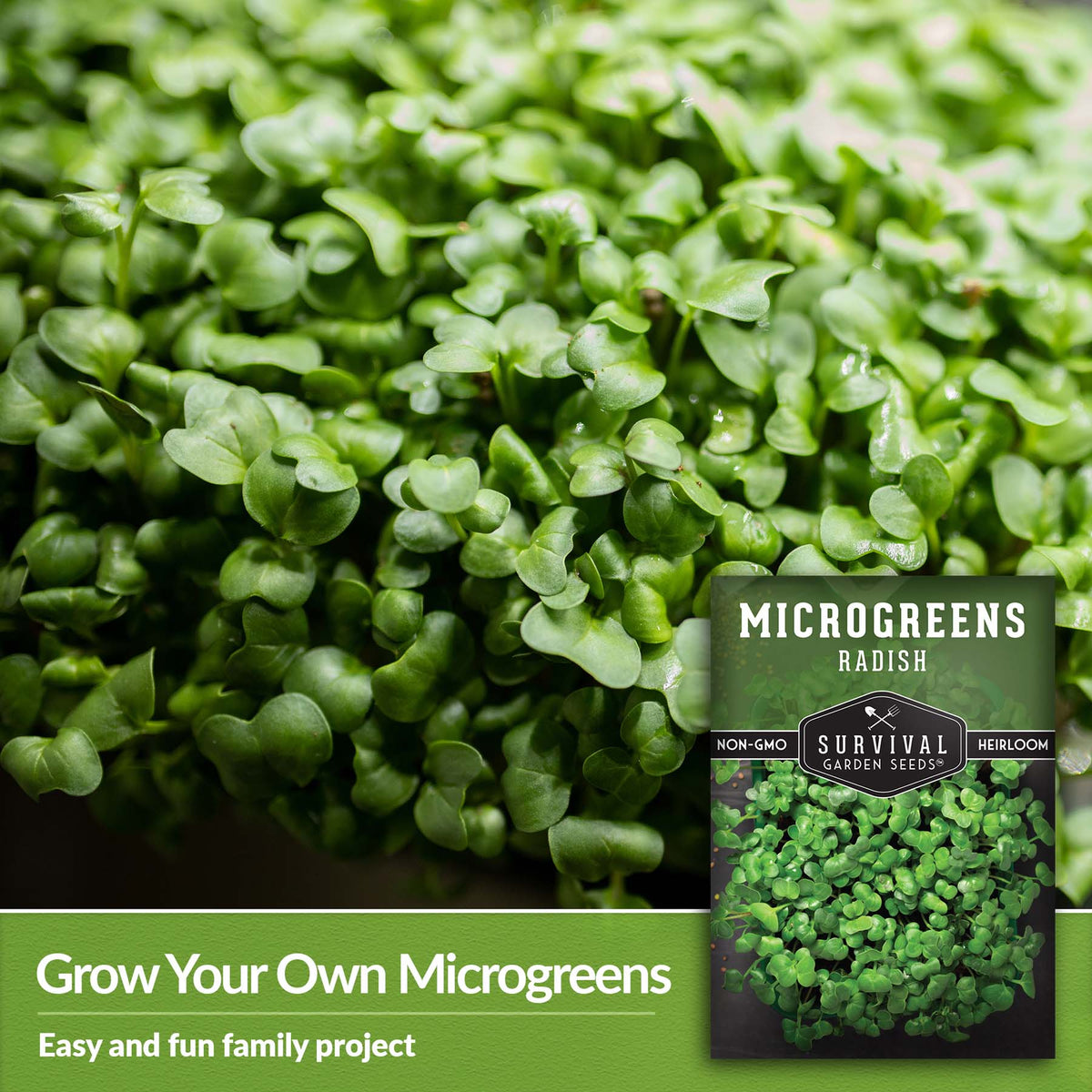Grow your own microgreens