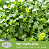 non-gmo heirloom microgreen seeds