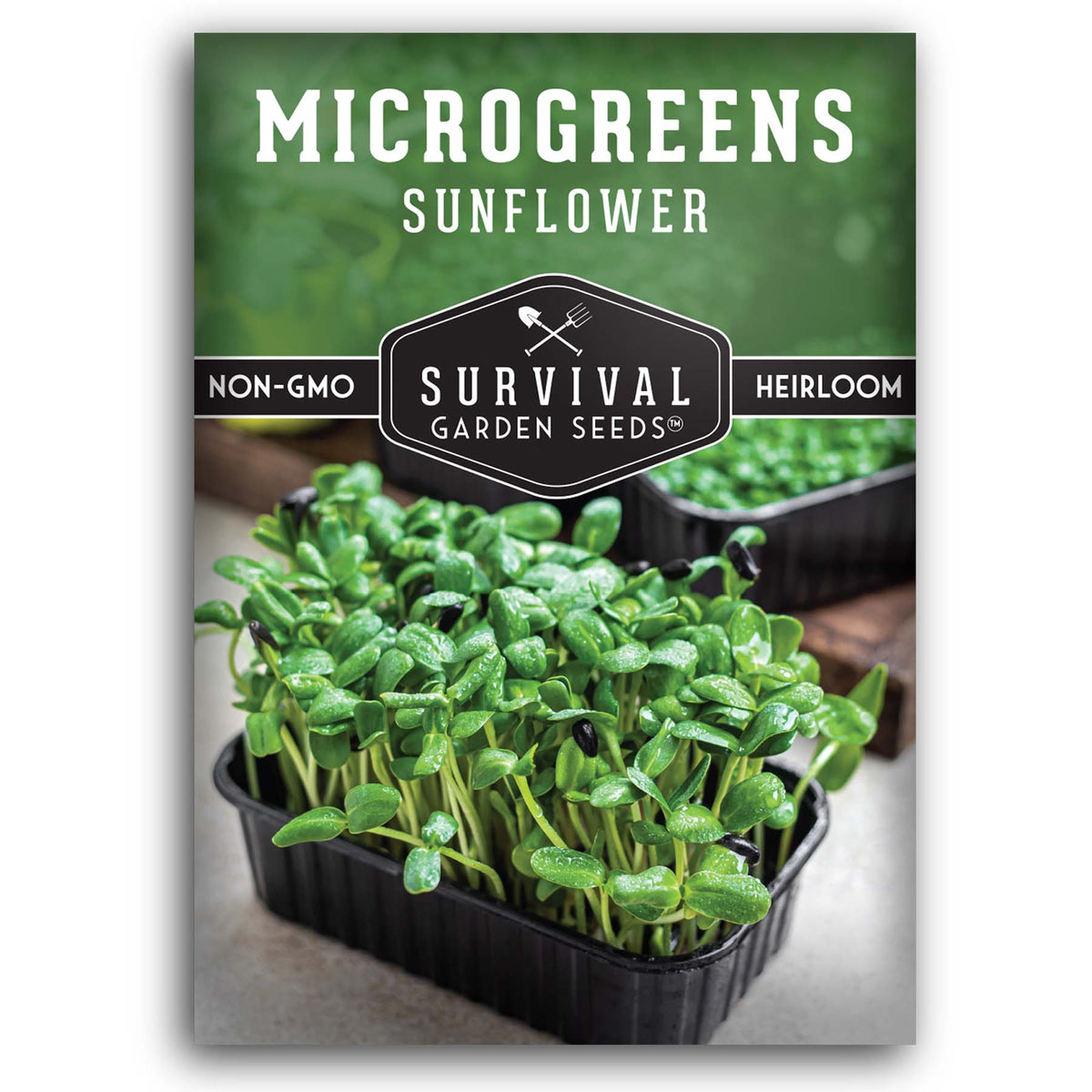 Sunflower Microgreens for Sprouting
