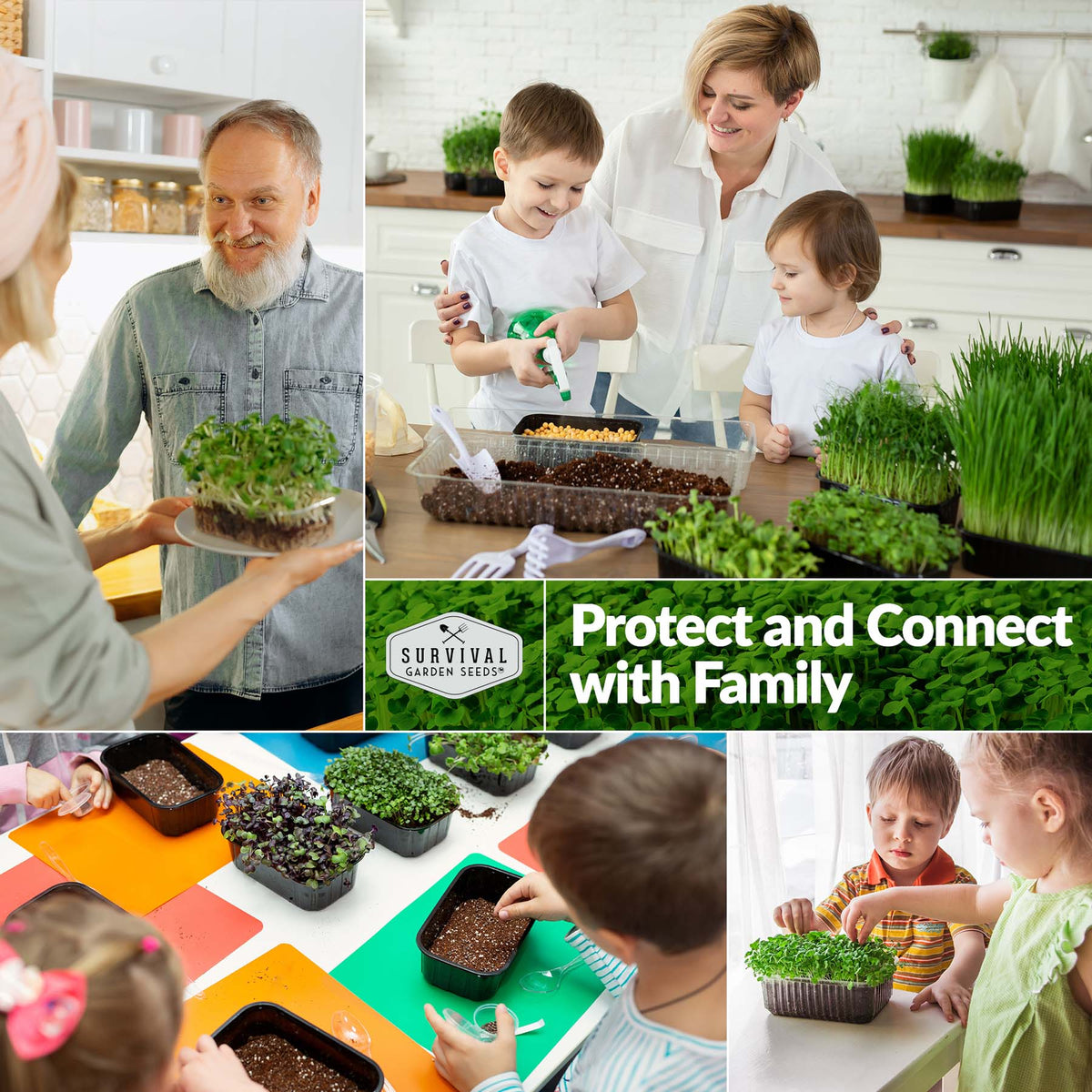 Protect and connect with family sprouting greens