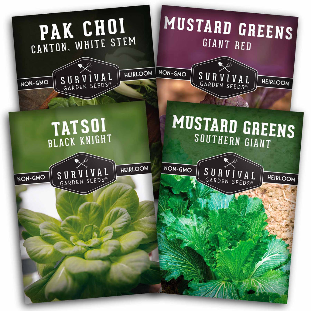 Mustard Greens Seeds Collection - 4 Packs of Healthy Greens