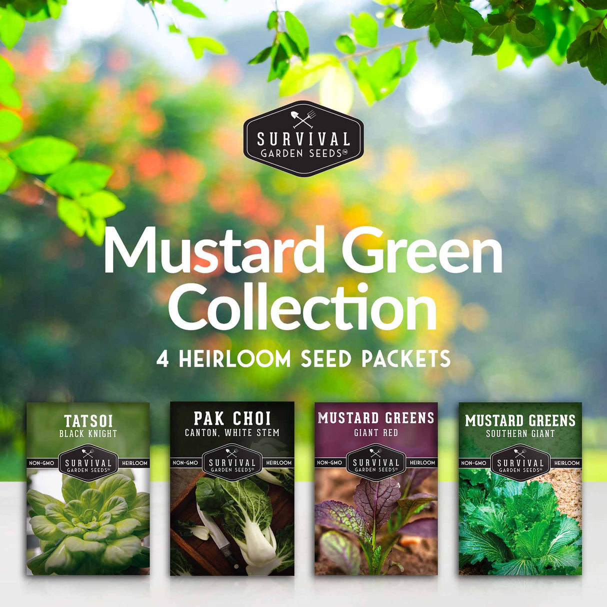 Mustard Greens Seeds Collection - 4 Packets – SurvivalGardenSeeds