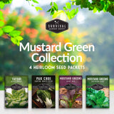 Mustard Green Seeds Collection - 4 heirloom seed packets