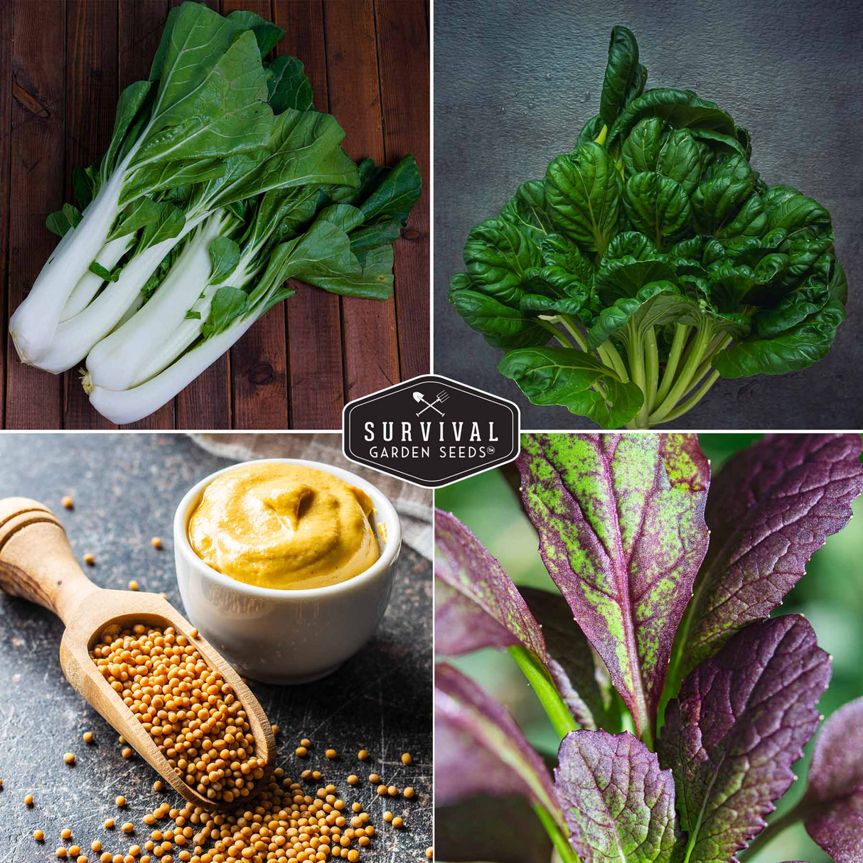 Mustard greens, bok choy, tatsoi