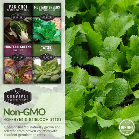 Non-GMO non-hybrid heirloom vegetable garden seeds