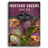 Giant Red Mustard Greens seeds for planting