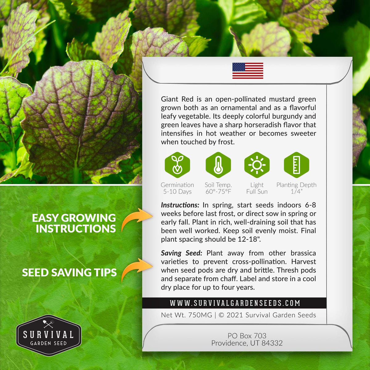 Giant Red Mustard Green seed planting instructions