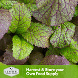 Harvest and store your own food supply