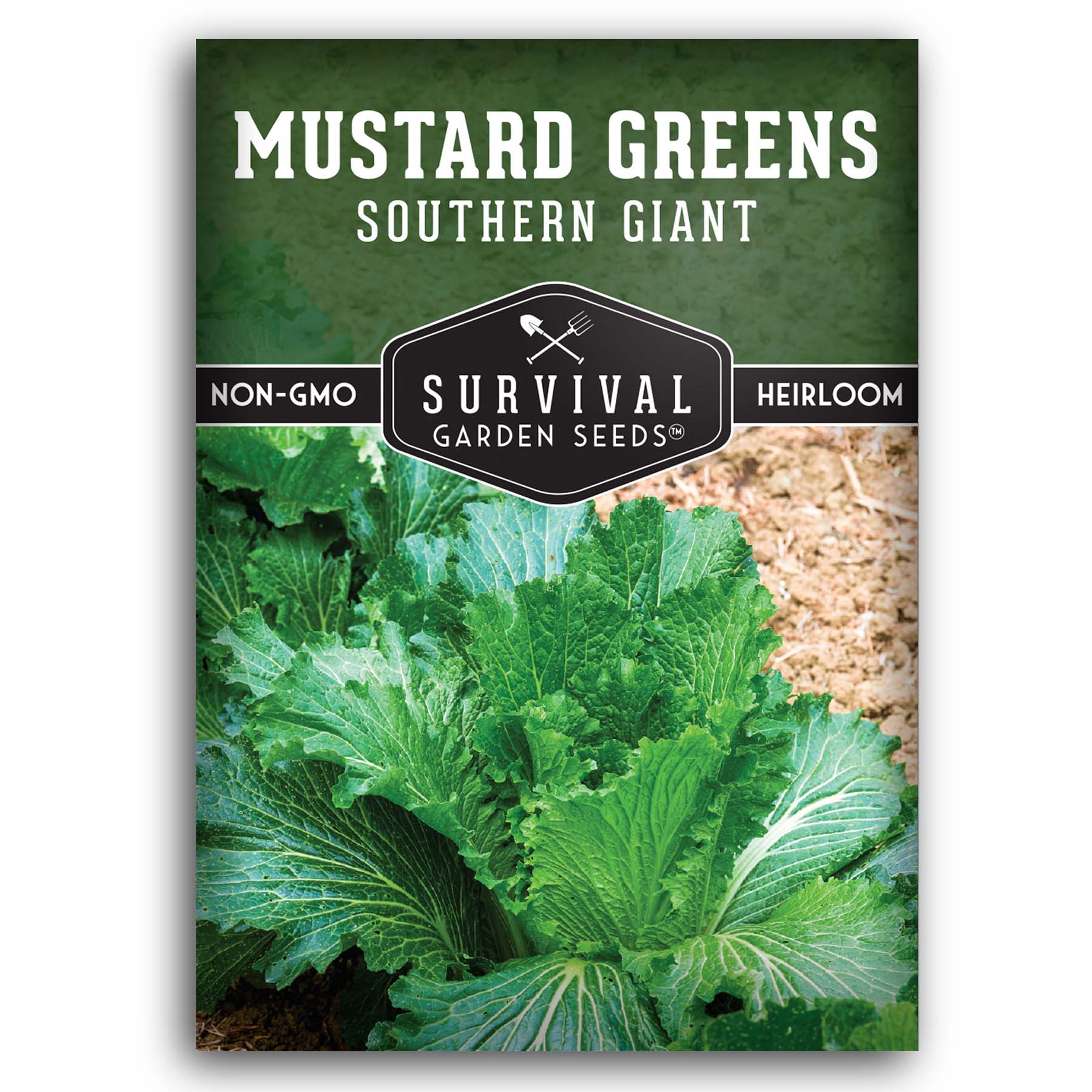 Southern Giant Mustard – Heirloom Heat-Tolerant Green
