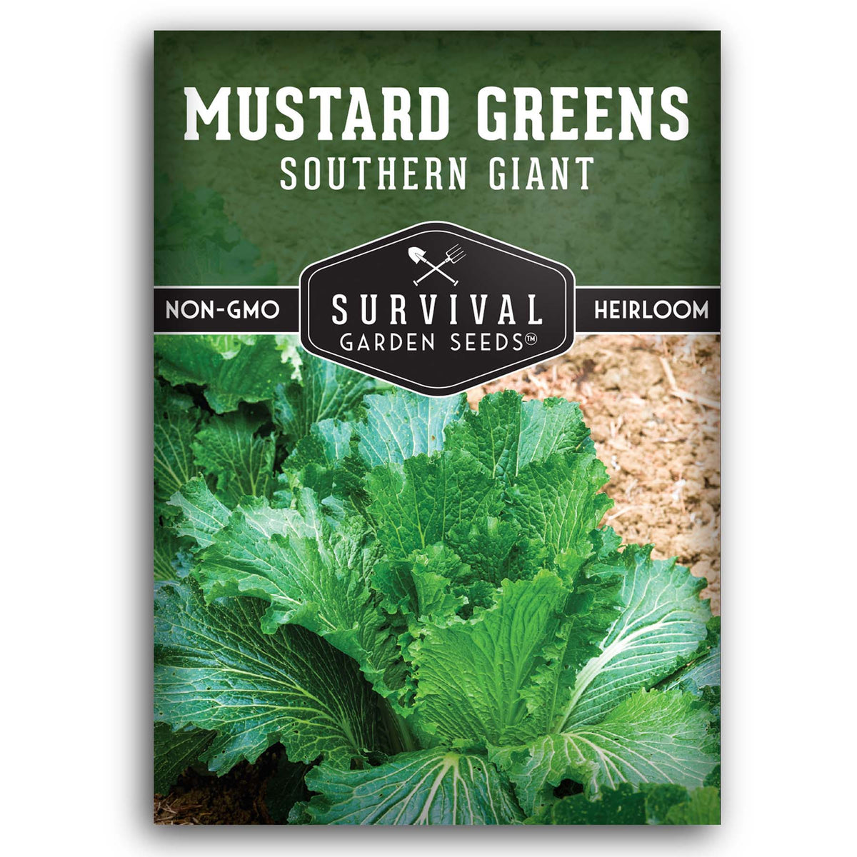 Southern Giant Mustard Greens seeds