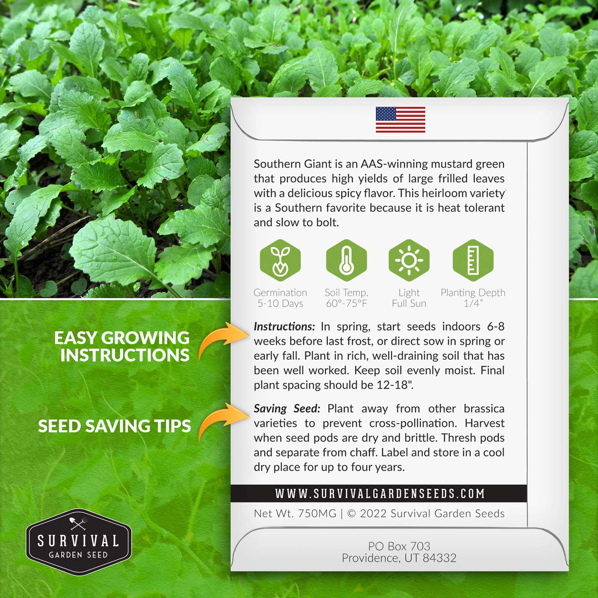 Southern Giant Mustard Greens seed planting instructions