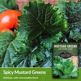 Southern Giant mustard greens have a spicy horseradish flavor