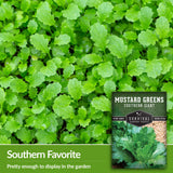 Southern giant mustard greens are pretty enough to display in the garden