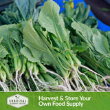 Harvest and store your own food supply