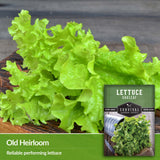 Oakleaf Lettuce is a reliably performing heirloom lettuce