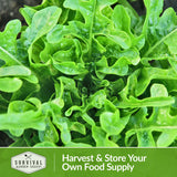 Harvest and store your own food supply