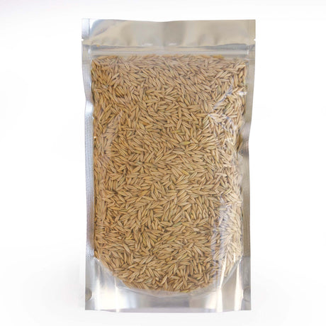 Bulk Oat Seeds