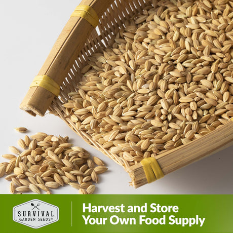 Harvest and store your own food supply