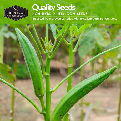 Quality seeds non-hybrid heirloom okra seeds